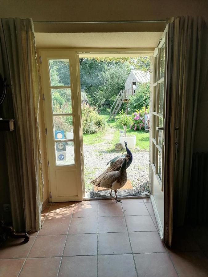 Frairie Du Divit Bed & Breakfast Pontivy Bagian luar foto
